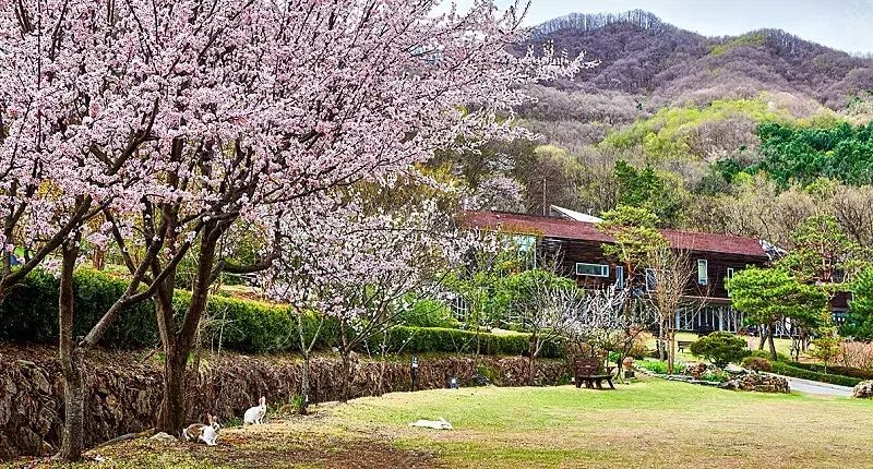 힐리언스 선마을 디럭스 1박2일권 예약해드립니다.